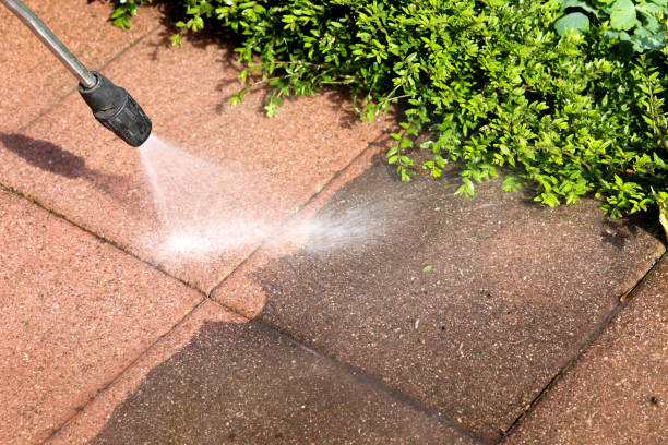 Best Best Pressure Washing Companies  in Mays Landing, NJ